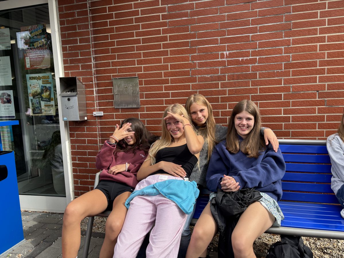 IMG 0113